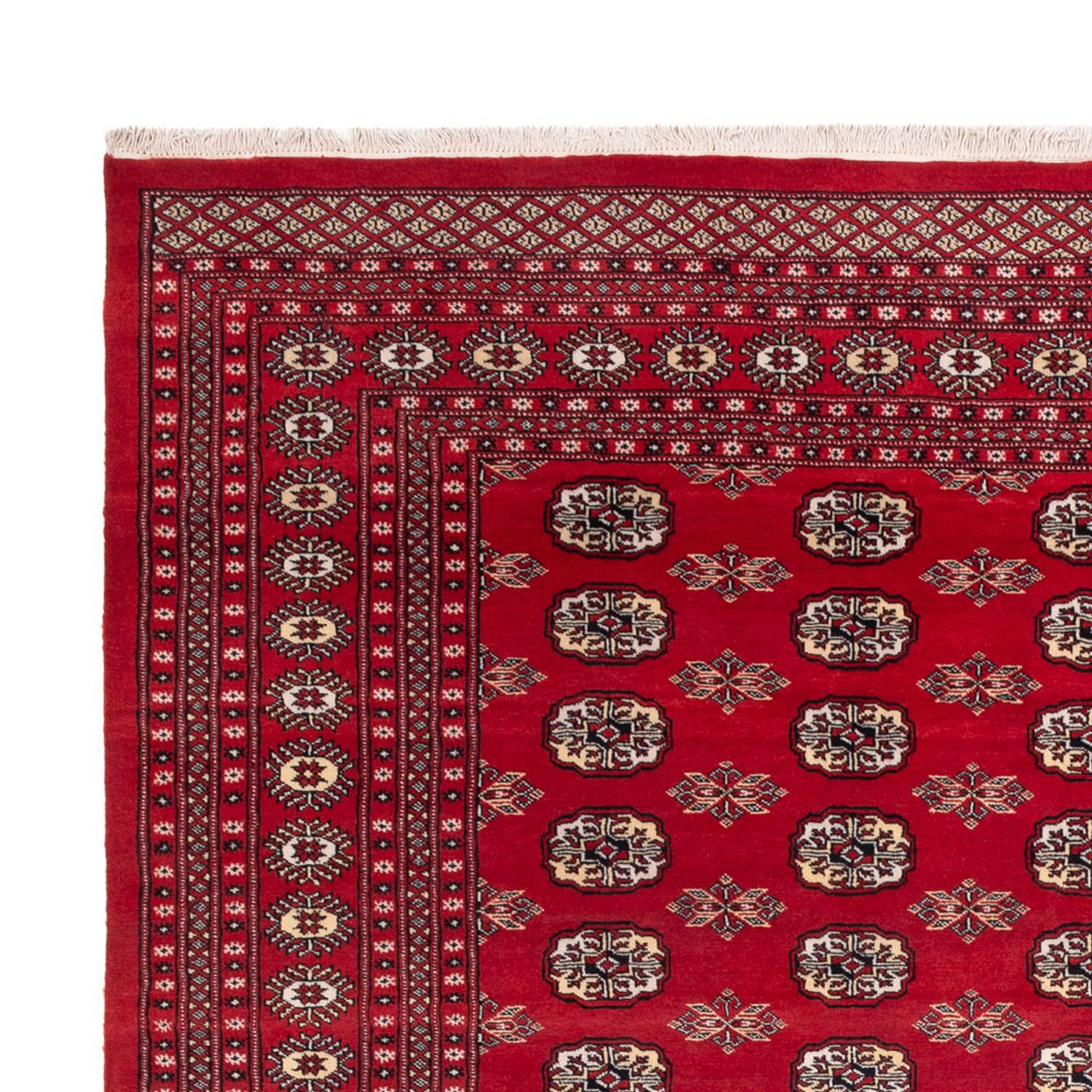 Afghansk teppe - Bukhara - 307 x 247 cm - rød