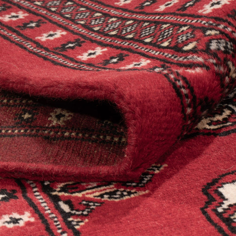 Afghansk teppe - Bukhara - 307 x 247 cm - rød