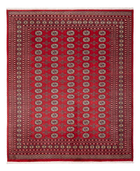 Bukhara Teppe 243x298cm - Orientalsk teppe – product image