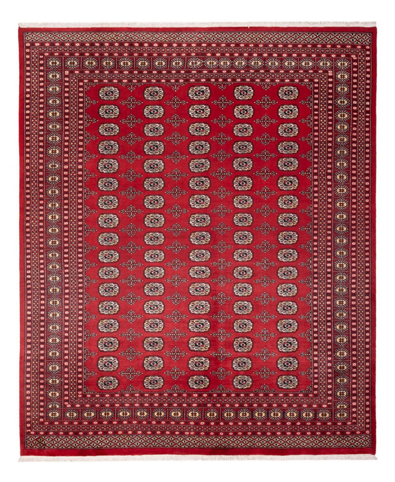 Bukhara Teppe 243x298cm - Orientalsk teppe
