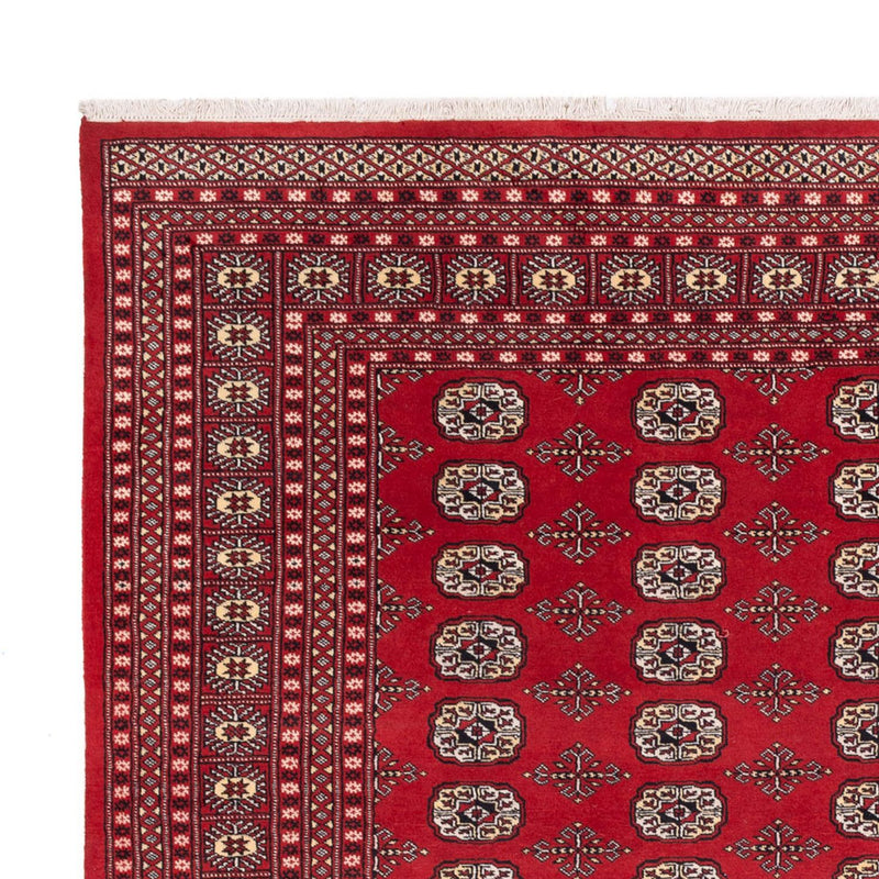 Bukhara Teppe 243x298cm - Orientalsk teppe
