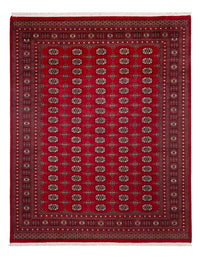 Afghansk teppe - Bukhara - 308 x 243 cm - rød – product image