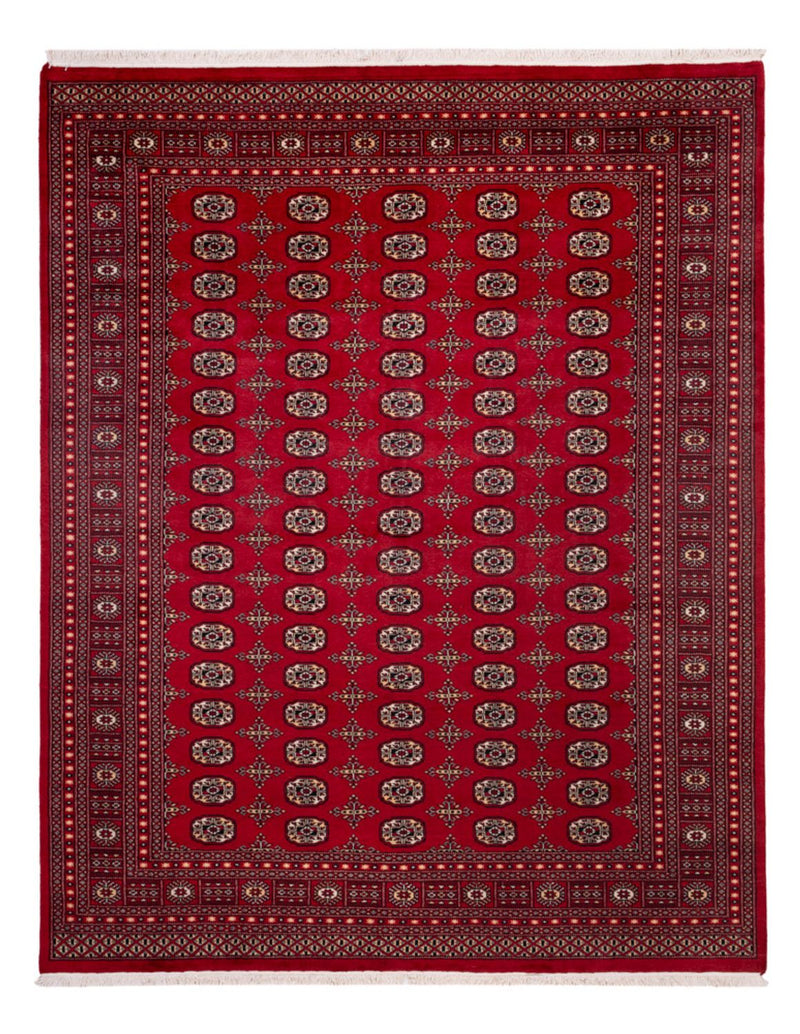 Afghansk teppe - Bukhara - 308 x 243 cm - rød