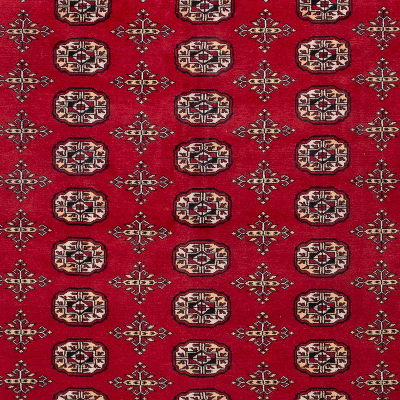 Afghansk teppe - Bukhara - 308 x 243 cm - rød