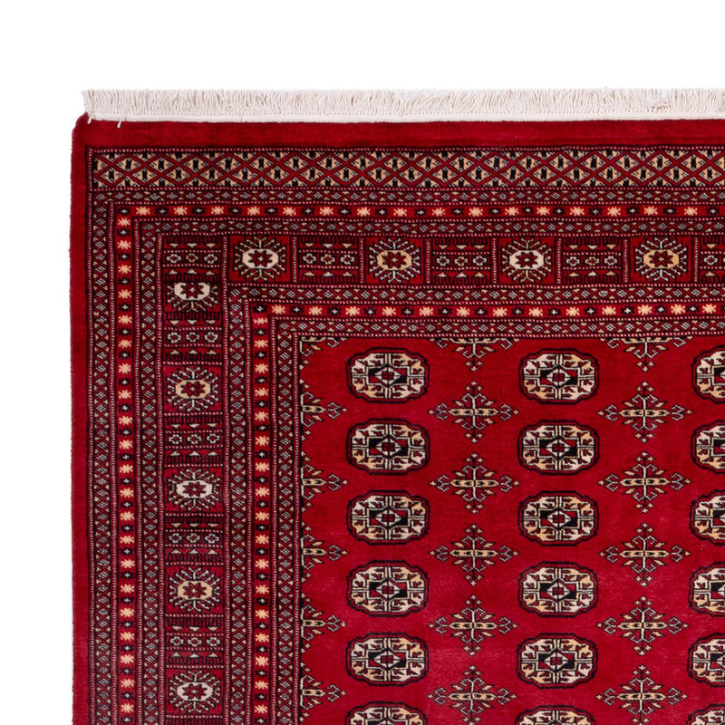 Afghansk teppe - Bukhara - 308 x 243 cm - rød