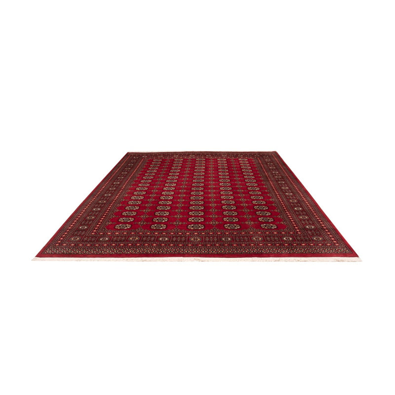 Afghansk teppe - Bukhara - 308 x 243 cm - rød