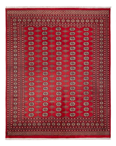 Bukhara Teppe 244x312cm - Orientalsk teppe