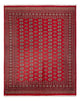 Afghansk teppe - Bukhara - 312 x 244 cm - rød