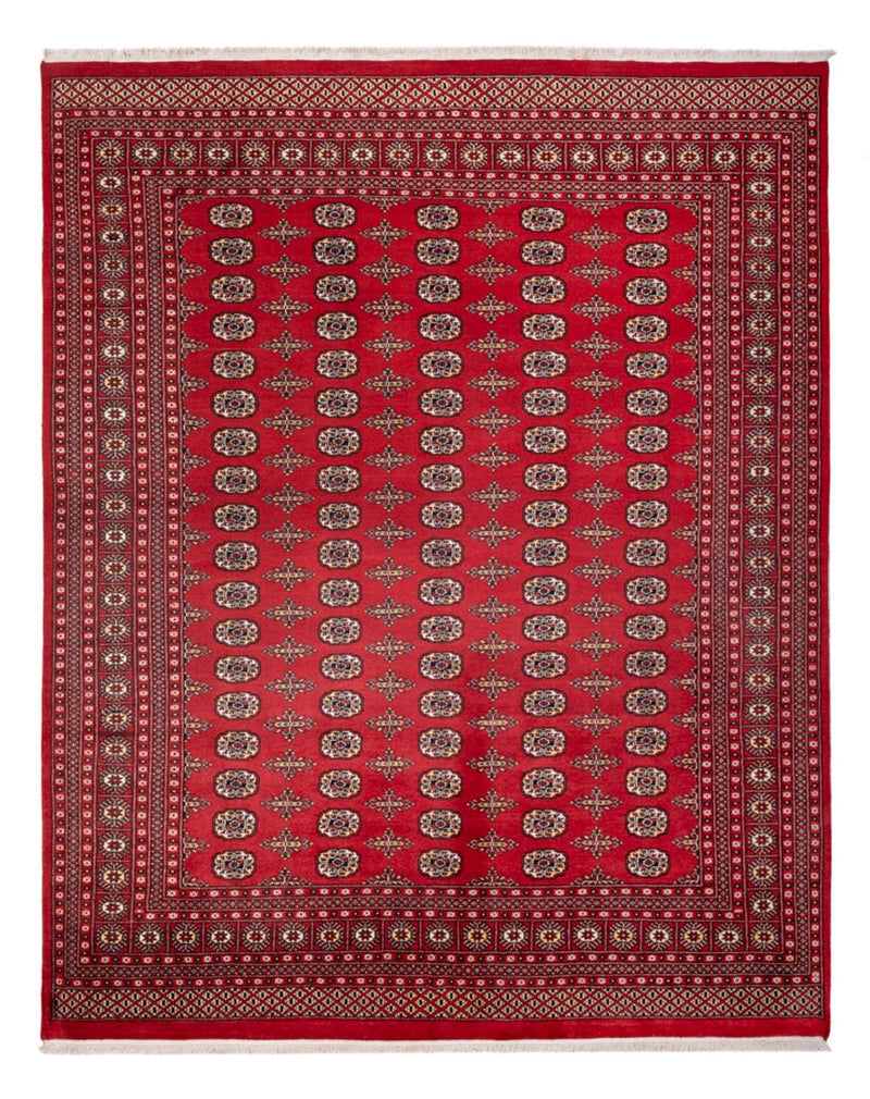 Afghansk teppe - Bukhara - 312 x 244 cm - rød