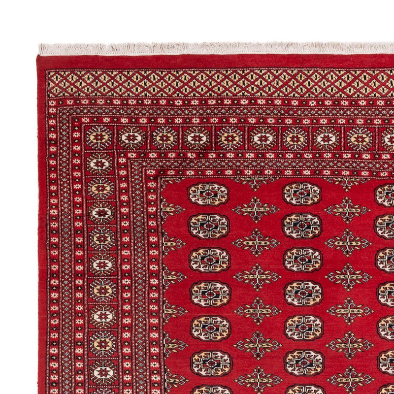 Afghansk teppe - Bukhara - 312 x 244 cm - rød