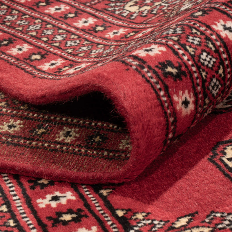 Afghansk teppe - Bukhara - 312 x 244 cm - rød