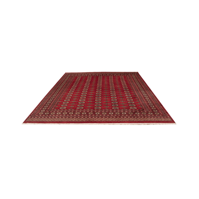 Afghansk teppe - Bukhara - 312 x 244 cm - rød