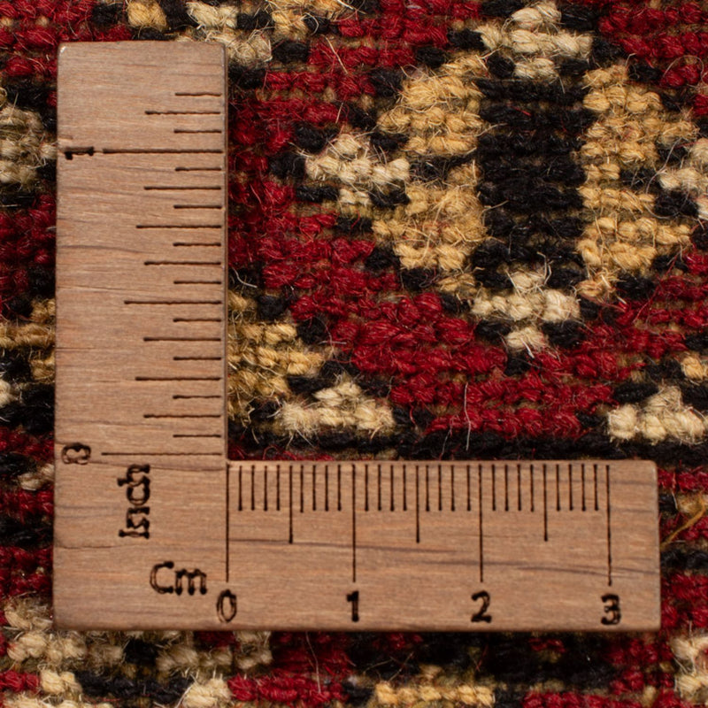 Afghansk teppe - Bukhara - 312 x 244 cm - rød