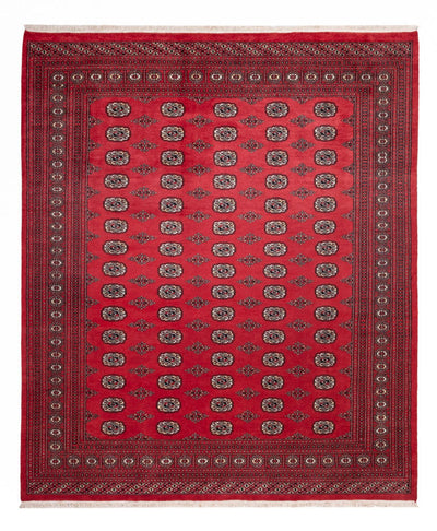 Bukhara Teppe 246x305cm - Orientalsk teppe