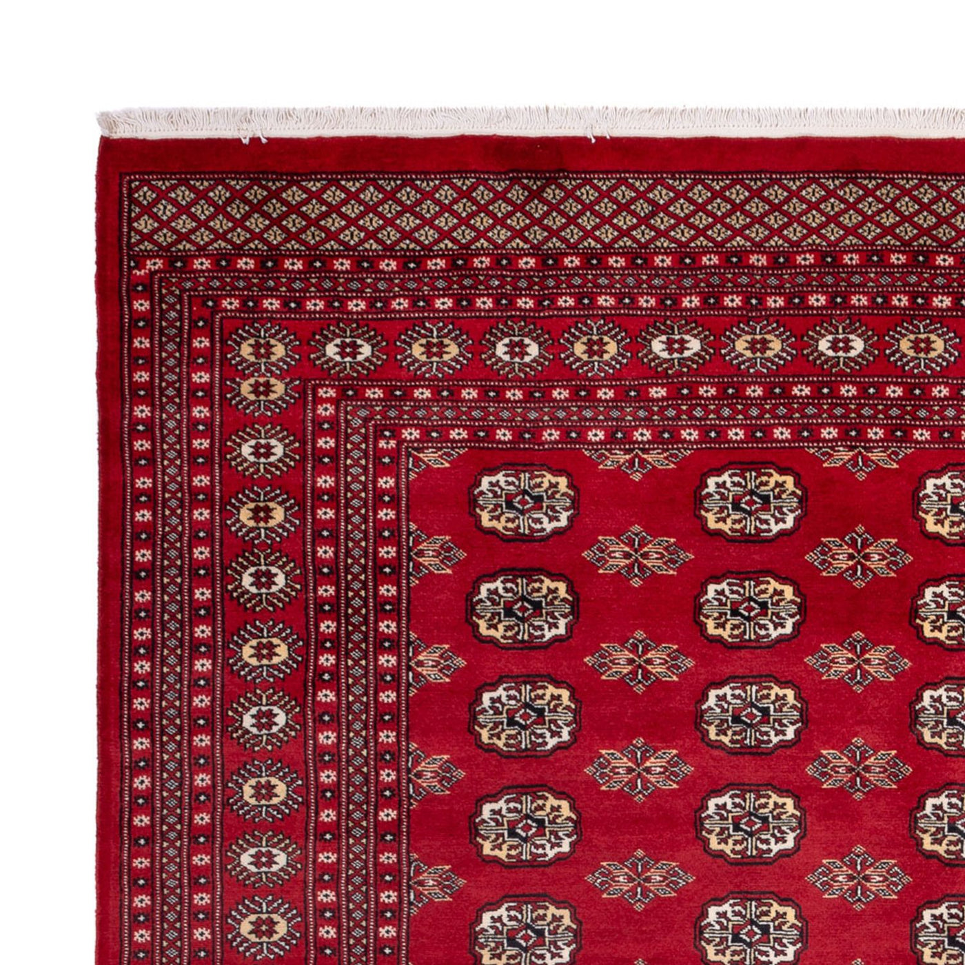 Bukhara Teppe 301x245cm - Orientalsk teppe