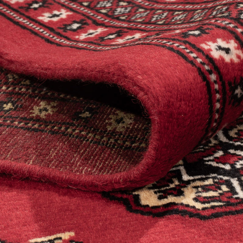 Bukhara Teppe 301x245cm - Orientalsk teppe