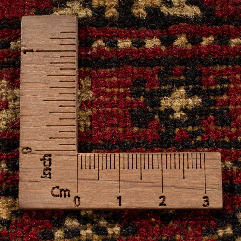 Bukhara Teppe 301x245cm - Orientalsk teppe