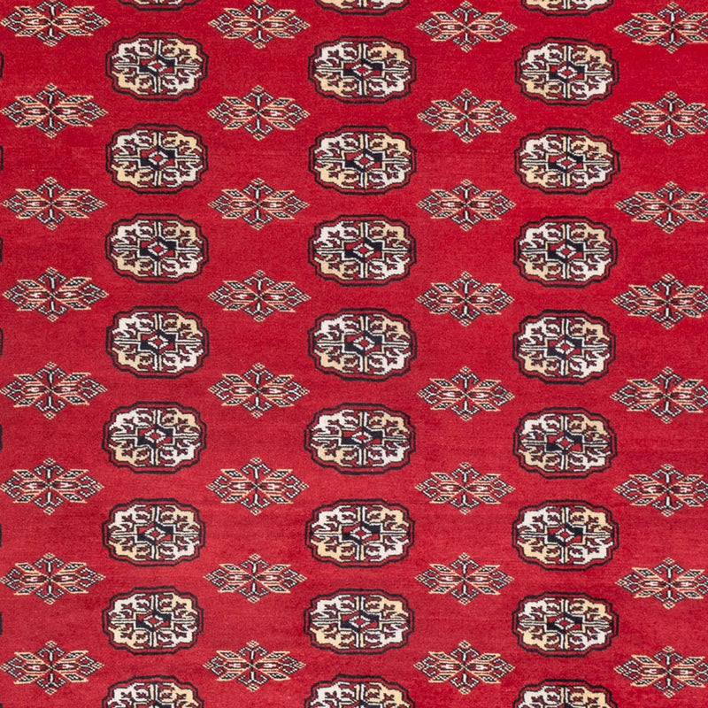 Bukhara Teppe 314x243cm - Orientalsk teppe