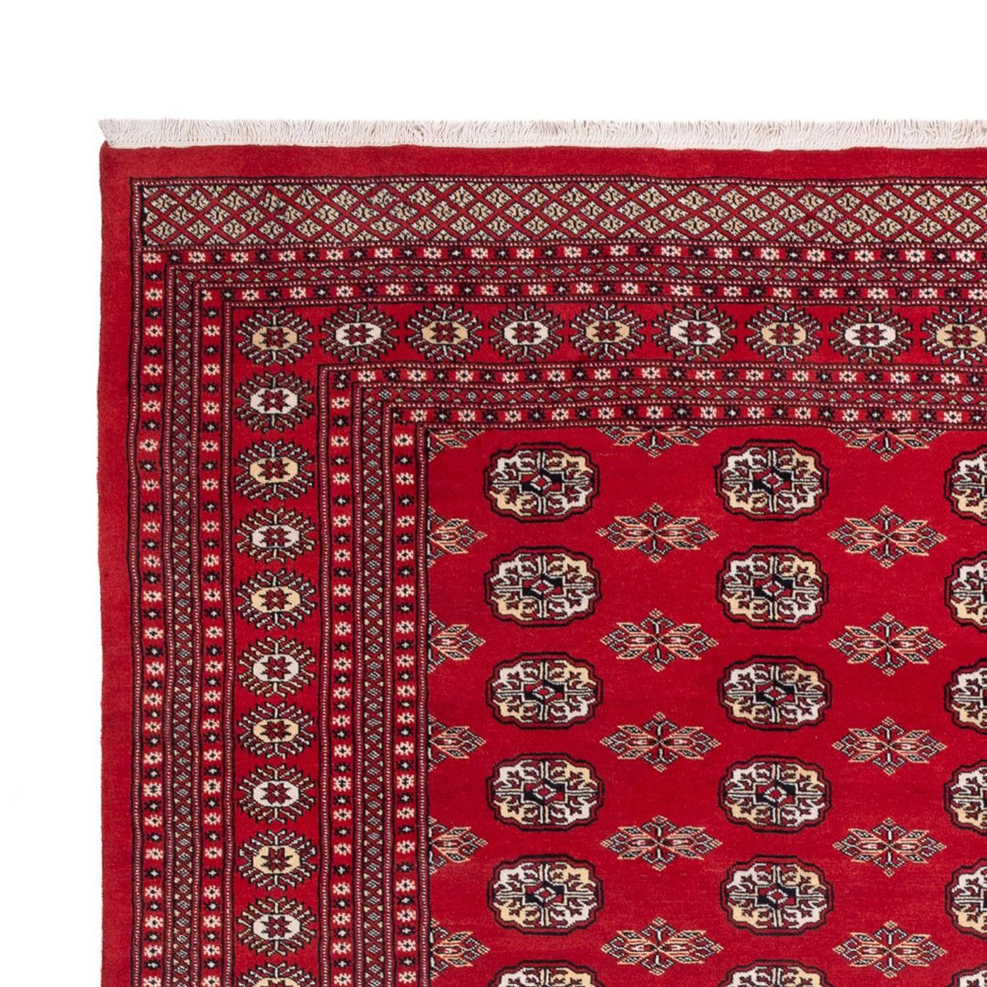 Bukhara Teppe 314x243cm - Orientalsk teppe
