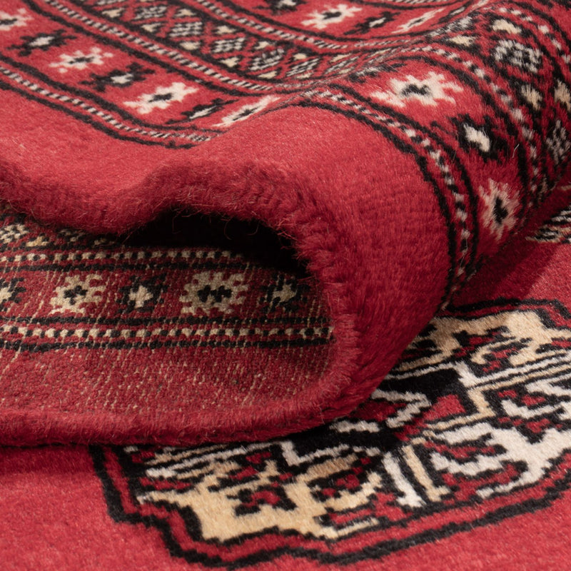 Bukhara Teppe 314x243cm - Orientalsk teppe