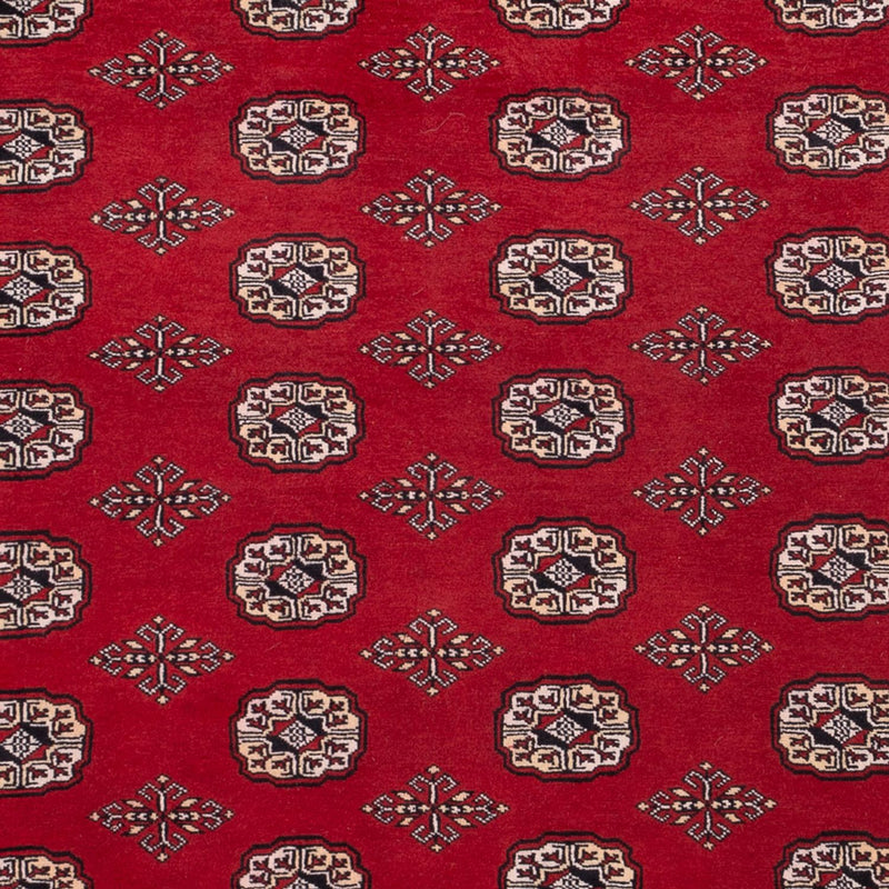 Bukhara Teppe 290x200cm - Orientalsk teppe