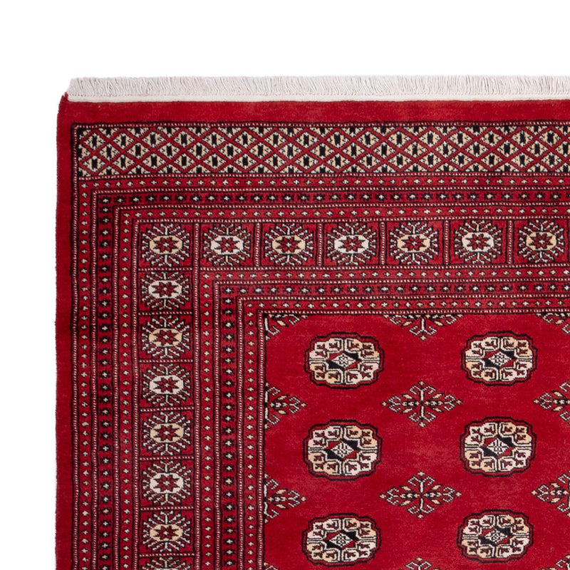 Bukhara Teppe 290x200cm - Orientalsk teppe