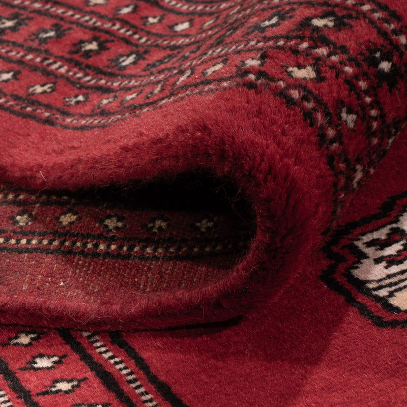 Bukhara Teppe 290x200cm - Orientalsk teppe