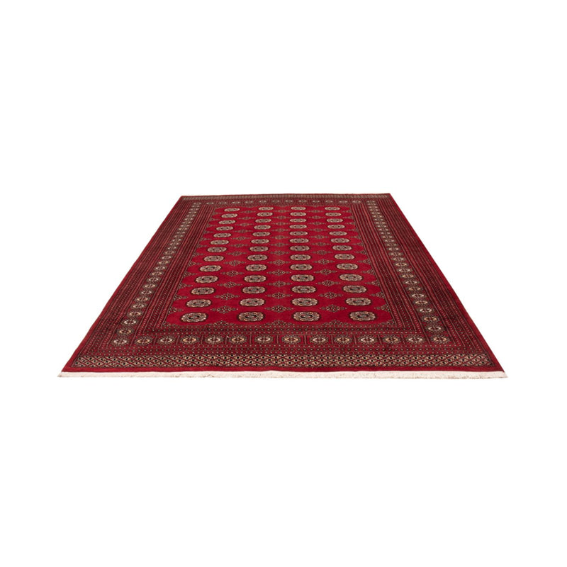 Bukhara Teppe 290x200cm - Orientalsk teppe