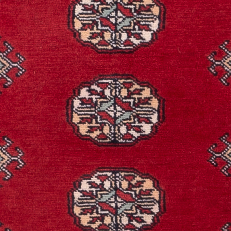Pakistan teppe 255x77cm - Orientalsk teppe