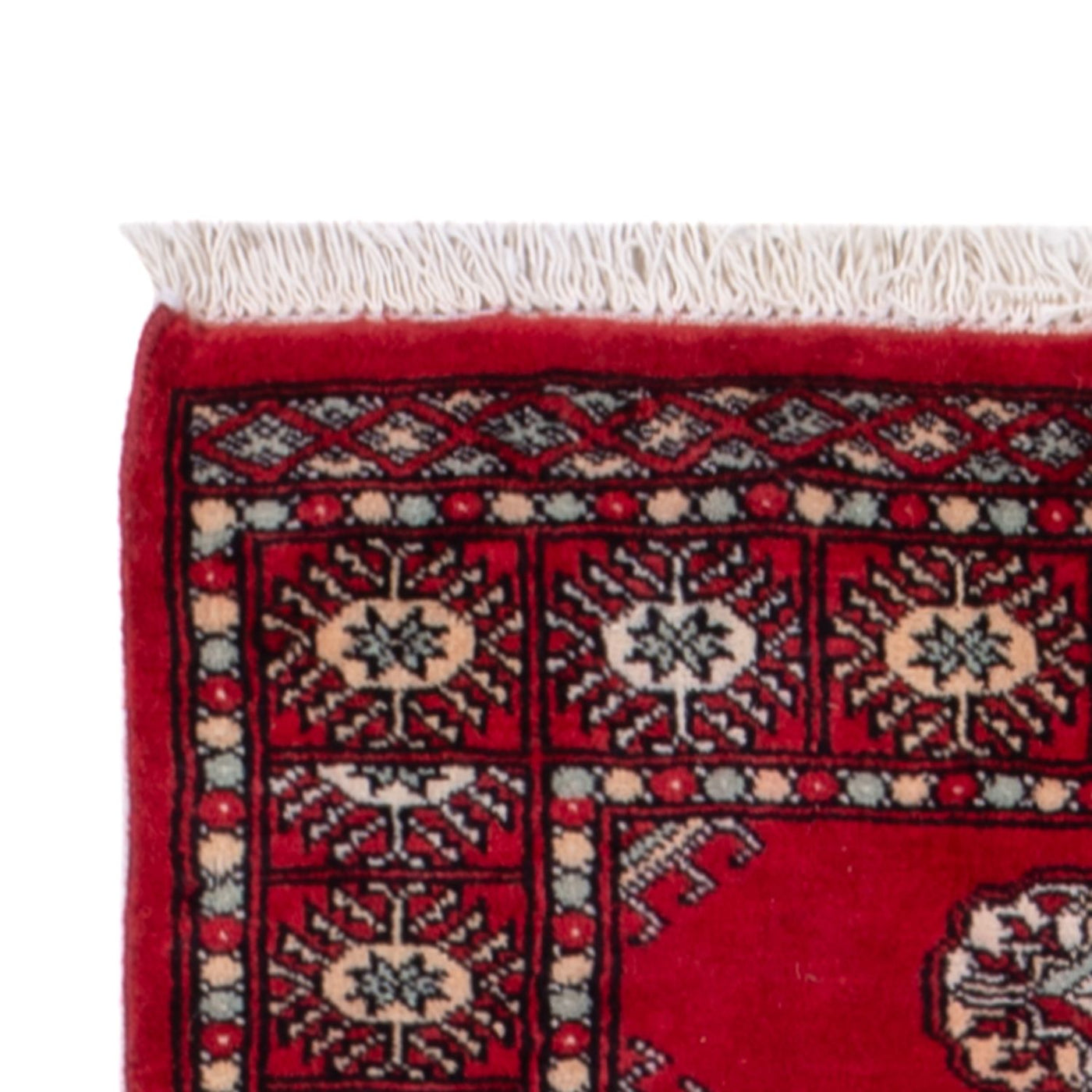 Pakistan teppe 255x77cm - Orientalsk teppe
