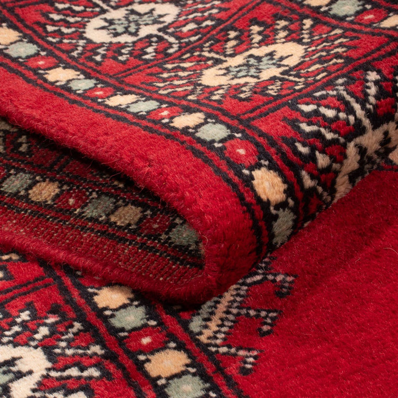 Pakistan teppe 255x77cm - Orientalsk teppe
