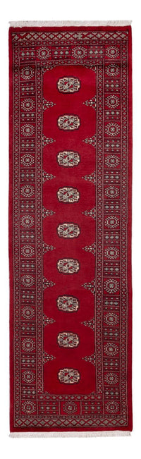 Pakistan teppe 257x75cm - Orientalsk teppe – product image
