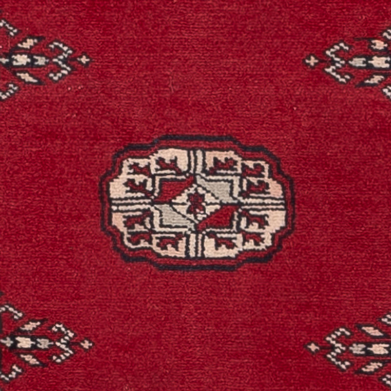 Pakistan teppe 257x75cm - Orientalsk teppe