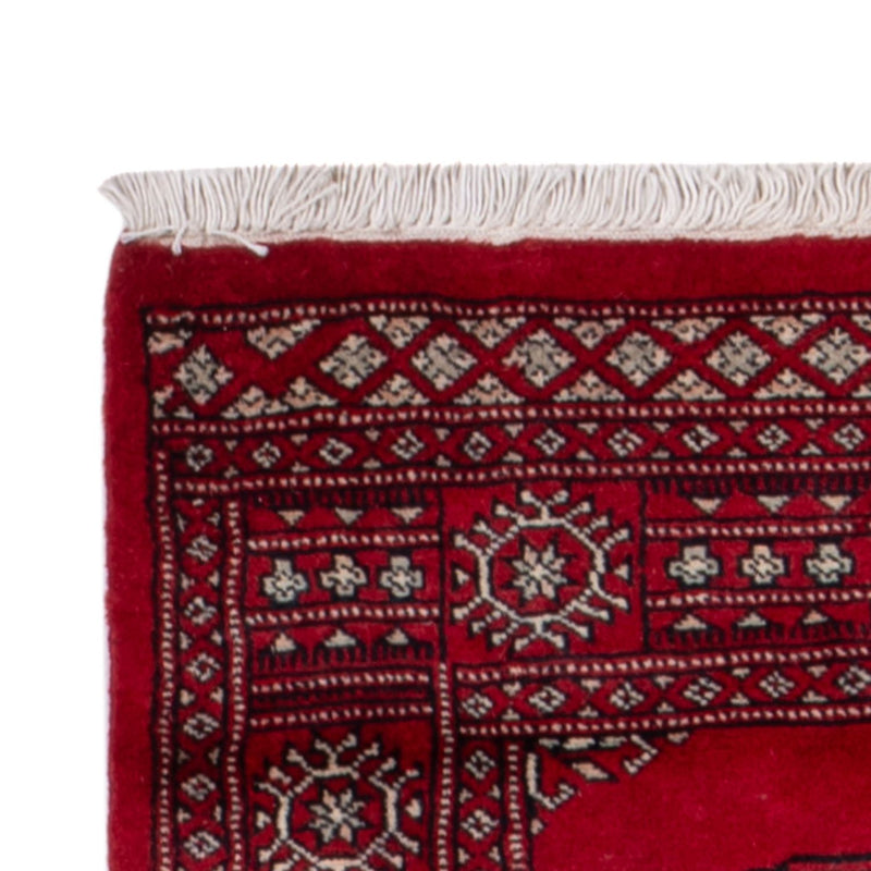Pakistan teppe 257x75cm - Orientalsk teppe