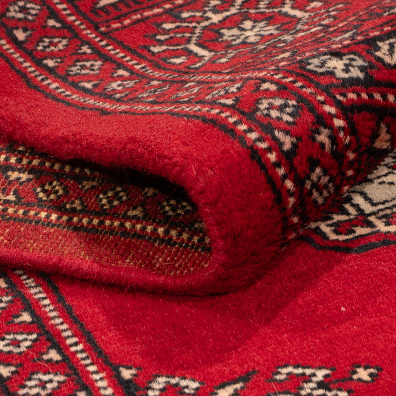 Pakistan teppe 257x75cm - Orientalsk teppe