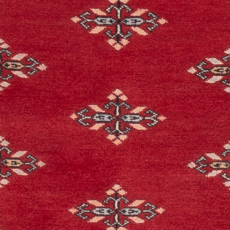Pakistan teppe 77x241cm - Orientalsk teppe
