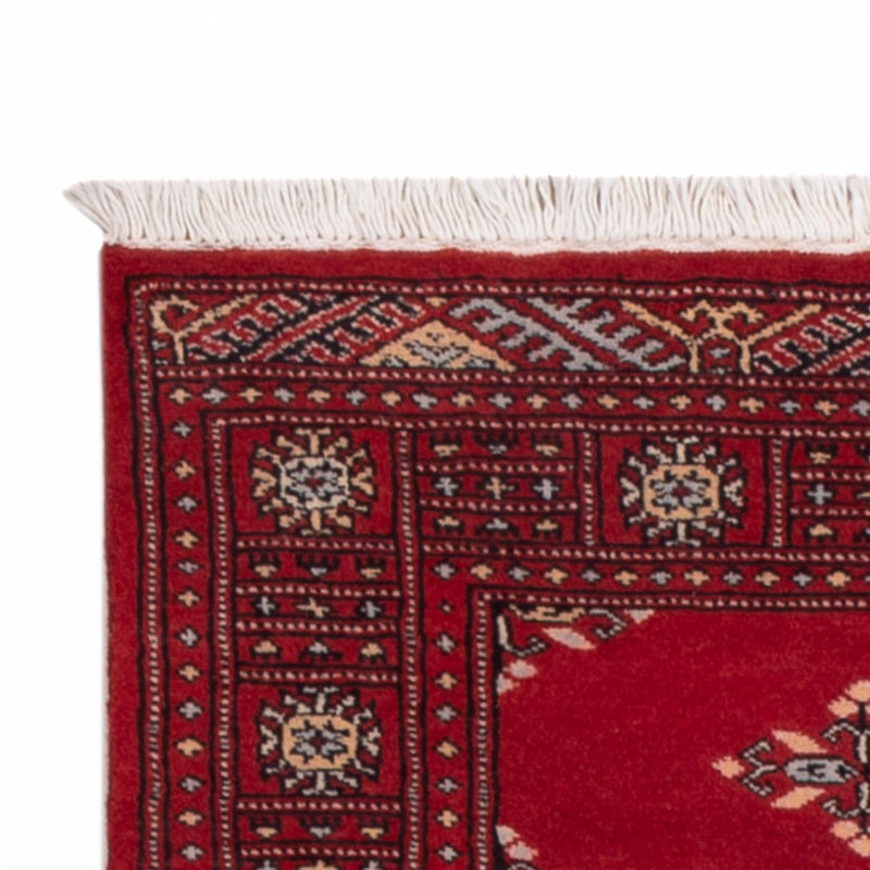 Pakistan teppe 77x241cm - Orientalsk teppe