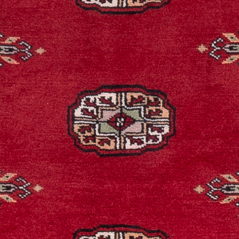 Pakistan teppe 242x76cm - Orientalsk teppe