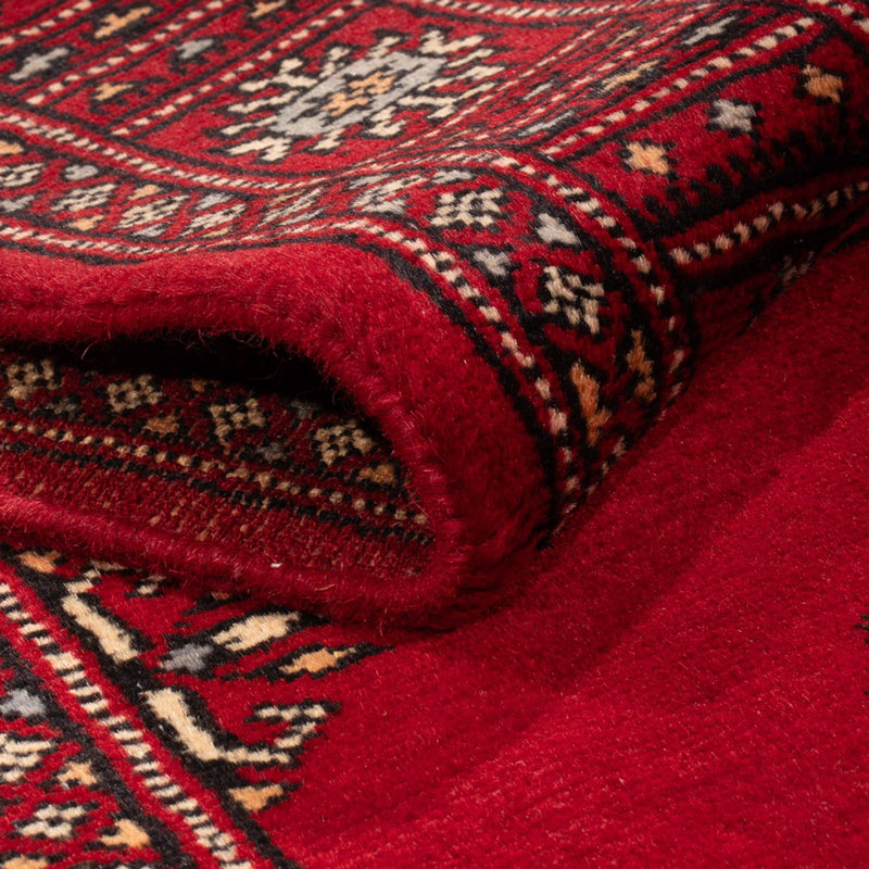 Pakistan teppe 241x77cm - Orientalsk teppe