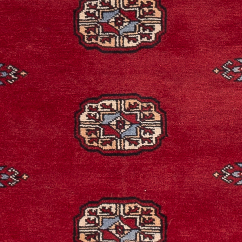 Pakistan teppe 262x77cm - Orientalsk teppe