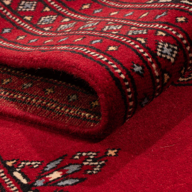 Pakistan teppe 262x77cm - Orientalsk teppe