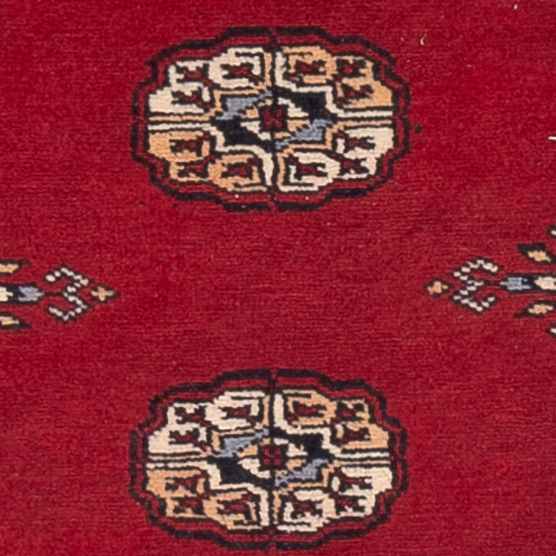 Pakistan teppe 247x77cm - Orientalsk teppe