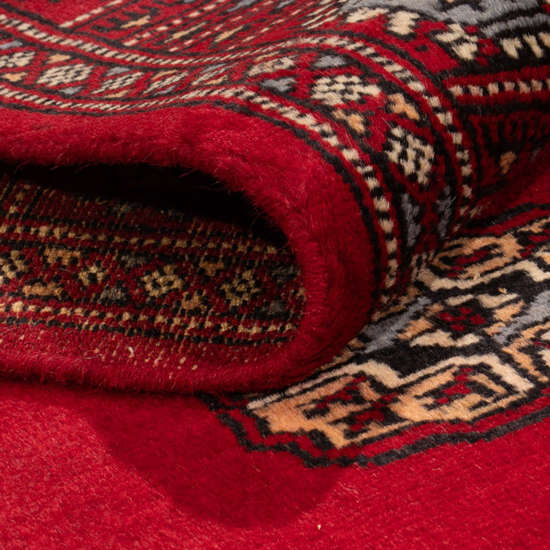 Pakistan teppe 247x77cm - Orientalsk teppe
