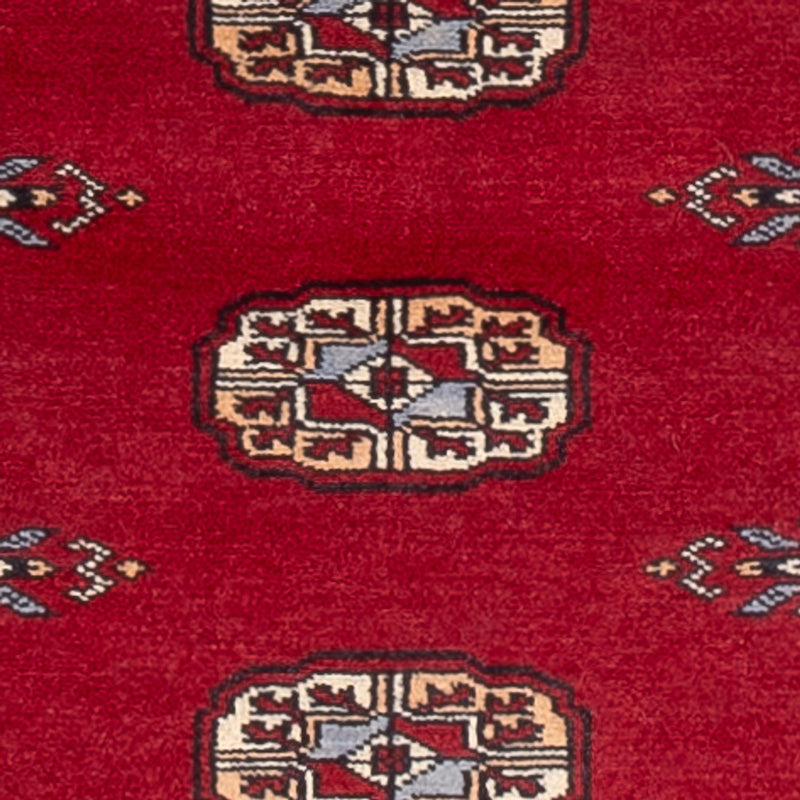 Pakistan teppe 239x79cm - Orientalsk teppe