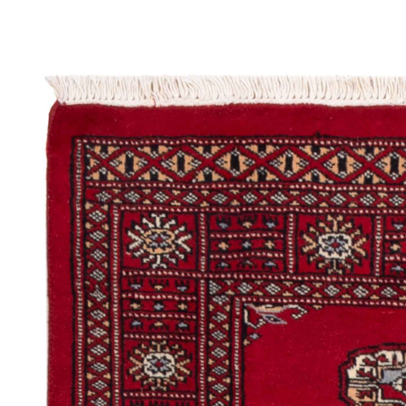 Pakistan teppe 239x79cm - Orientalsk teppe