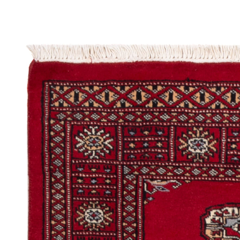 Pakistan teppe 239x79cm - Orientalsk teppe