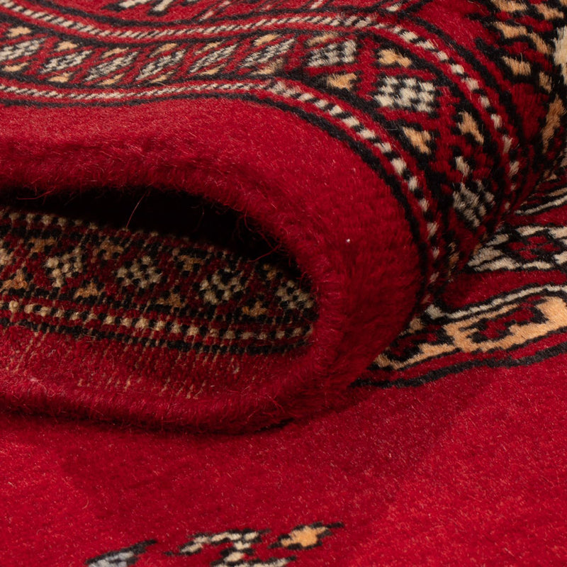 Pakistan teppe 239x79cm - Orientalsk teppe