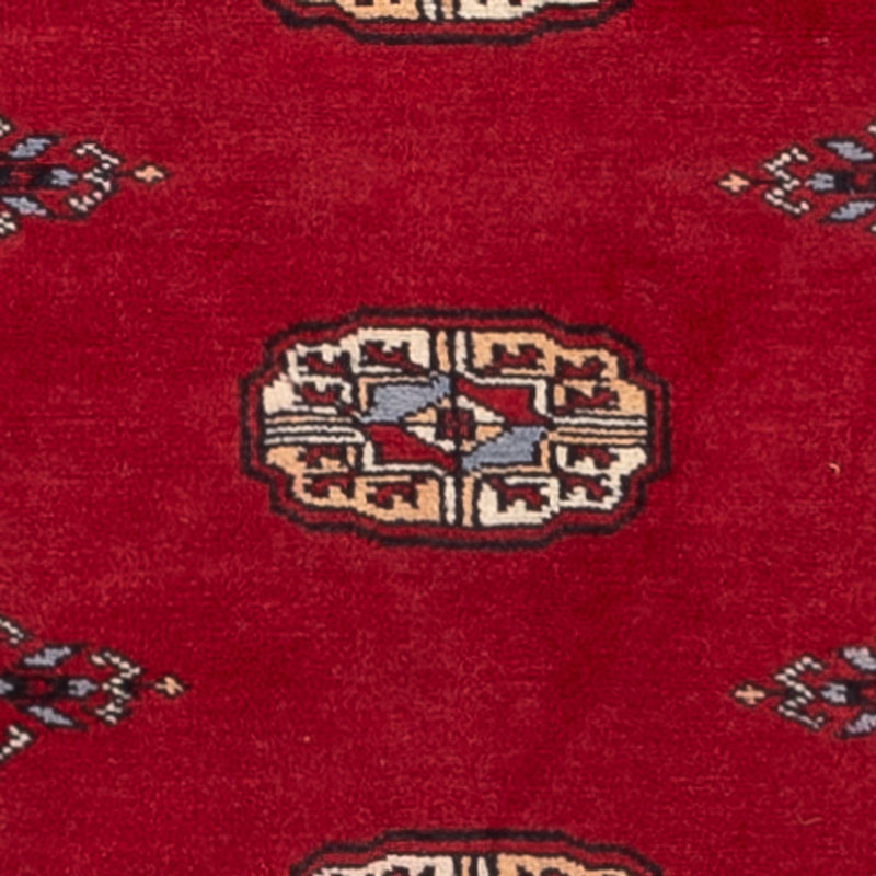 Pakistan teppe 247x79cm - Orientalsk teppe