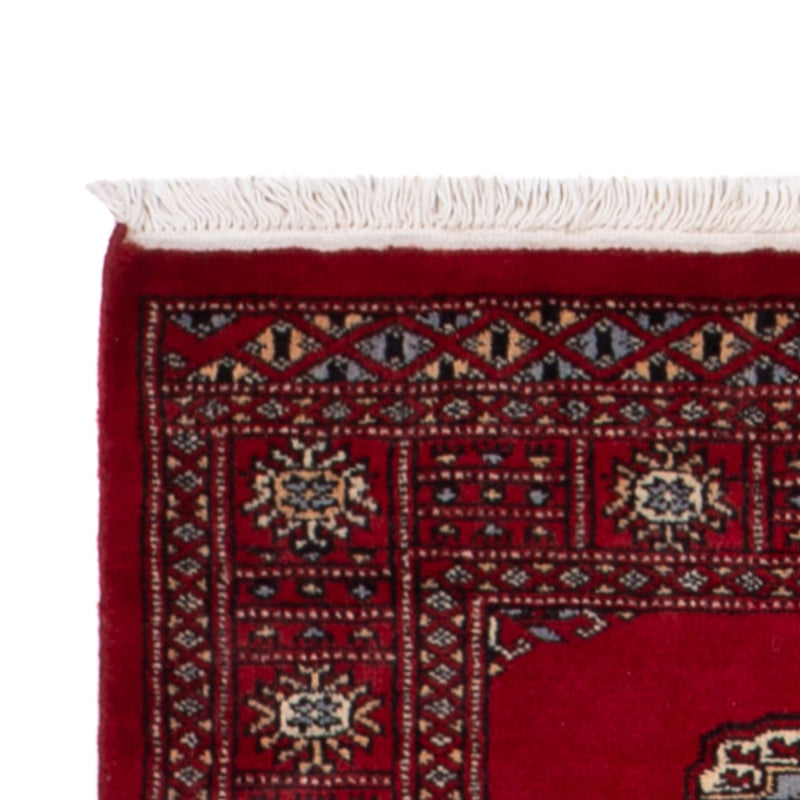Pakistan teppe 247x79cm - Orientalsk teppe