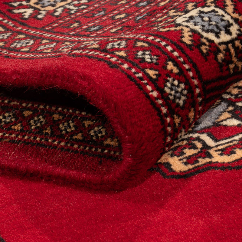 Pakistan teppe 247x79cm - Orientalsk teppe